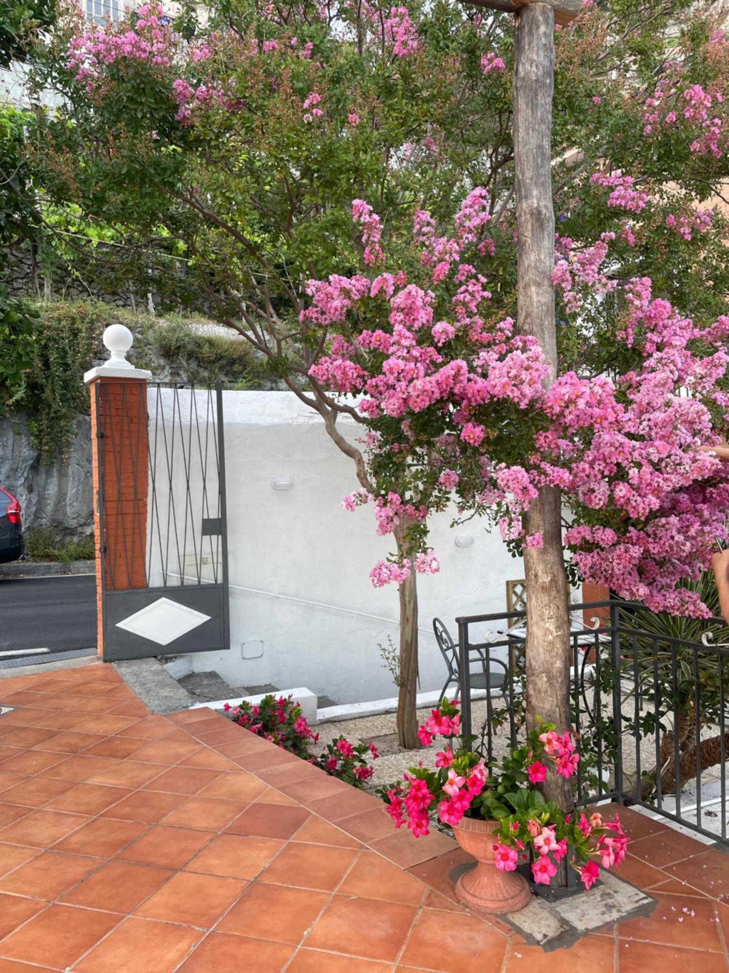 Villa Pino Furore Εξωτερικό φωτογραφία